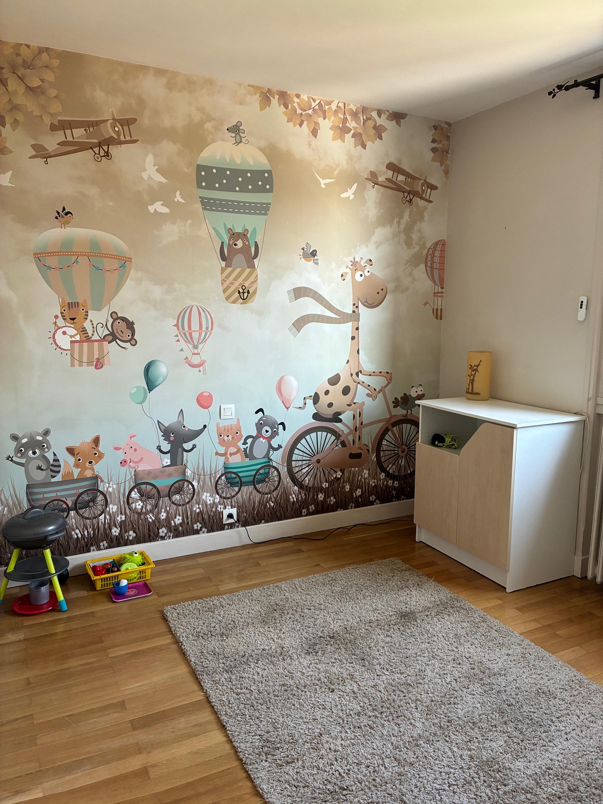 Photo d'une chambre d'enfant avec une commode blanche et un tapis marron.
