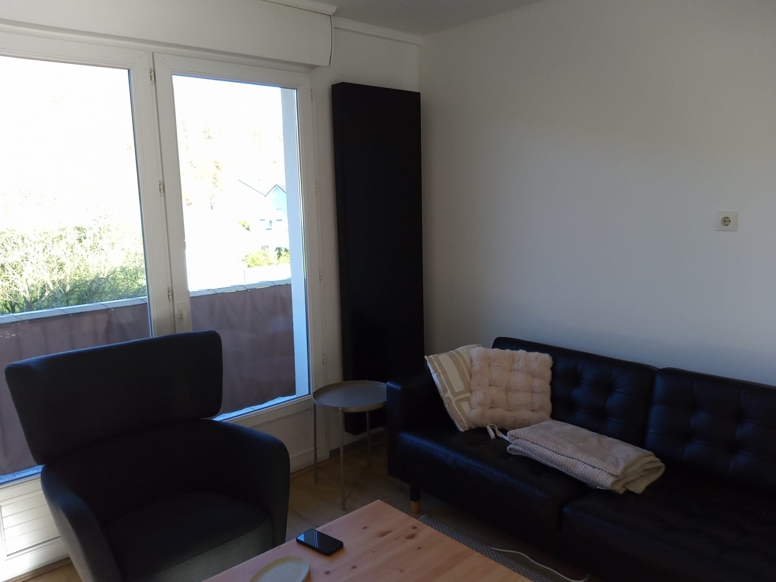 Photo d'un salon avec un radiateur design noir et des meubles suédois.